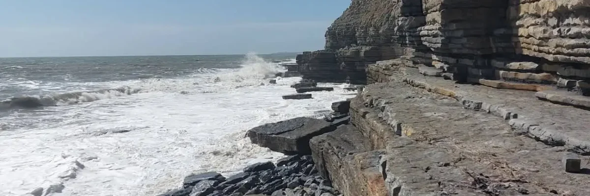 287418423_769060647433111_5408818471512492639_n